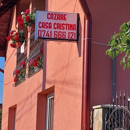 فندق Casa Cristina Cîrţişoara المظهر الخارجي الصورة