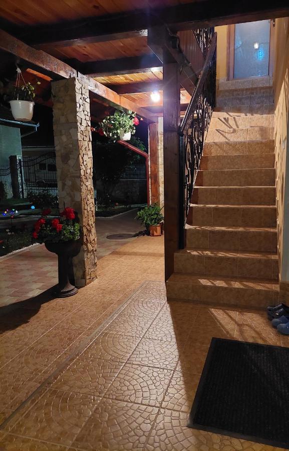 فندق Casa Cristina Cîrţişoara المظهر الخارجي الصورة