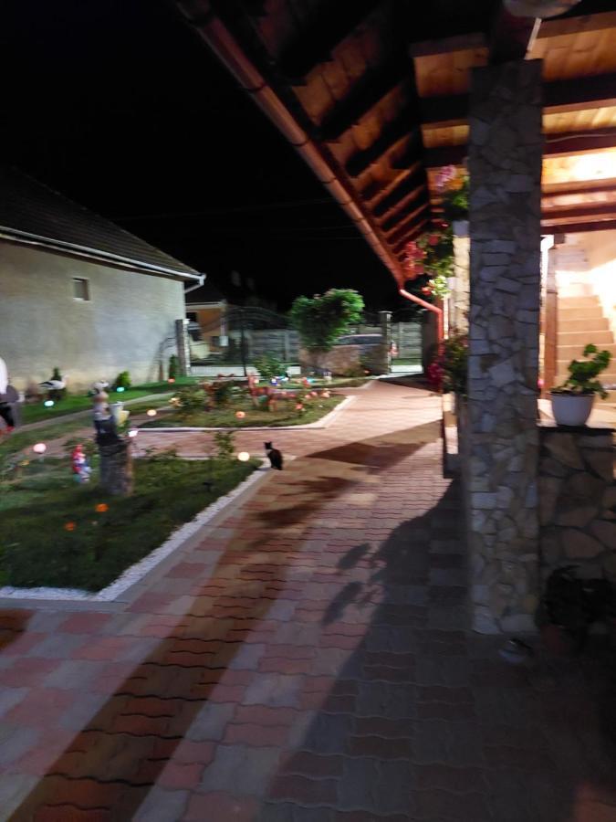 فندق Casa Cristina Cîrţişoara المظهر الخارجي الصورة