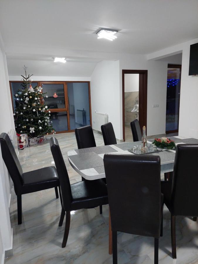 فندق Casa Cristina Cîrţişoara المظهر الخارجي الصورة