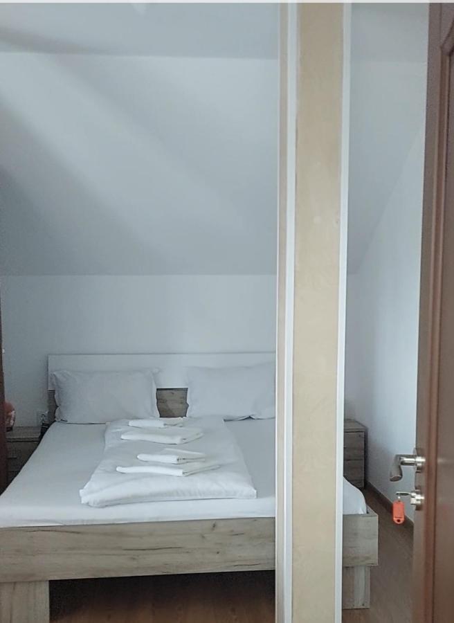 فندق Casa Cristina Cîrţişoara المظهر الخارجي الصورة