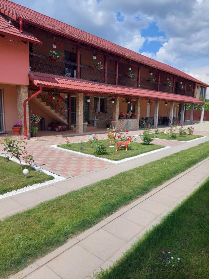 فندق Casa Cristina Cîrţişoara المظهر الخارجي الصورة