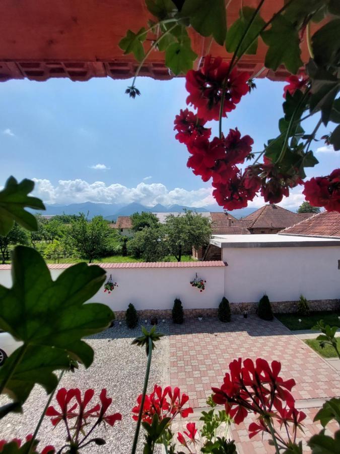 فندق Casa Cristina Cîrţişoara المظهر الخارجي الصورة