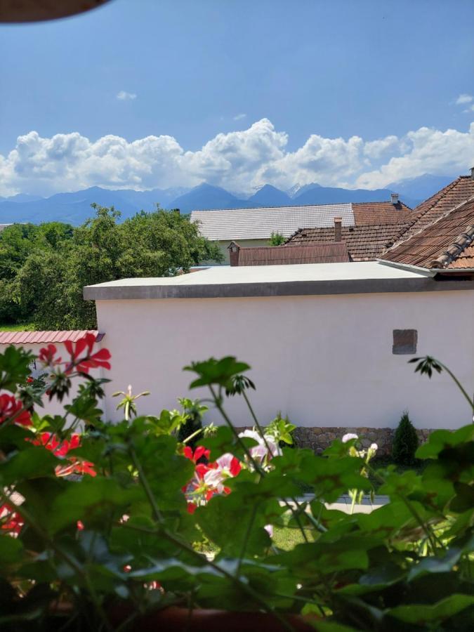فندق Casa Cristina Cîrţişoara المظهر الخارجي الصورة