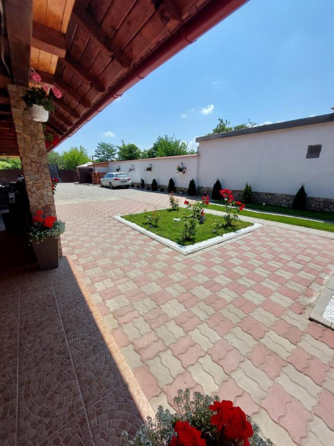 فندق Casa Cristina Cîrţişoara المظهر الخارجي الصورة