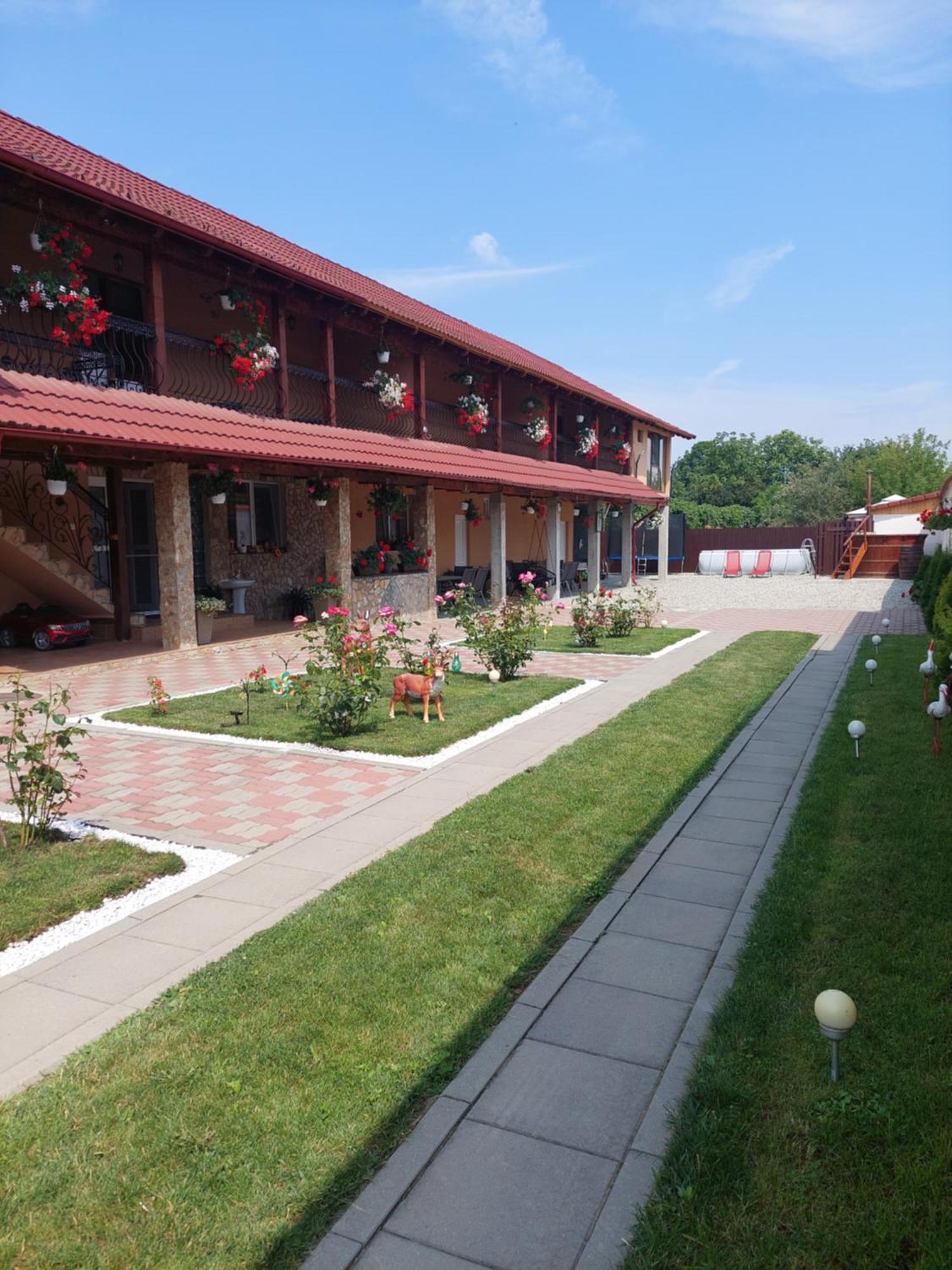 فندق Casa Cristina Cîrţişoara المظهر الخارجي الصورة